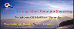 Morningstar Foundation